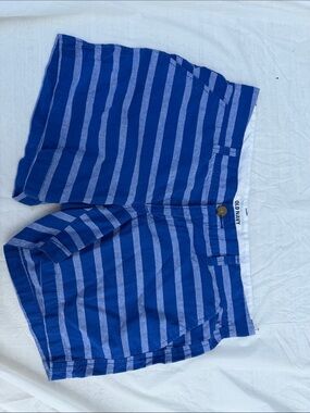 Old Navy Blue Striped Men's Flat Front Shorts